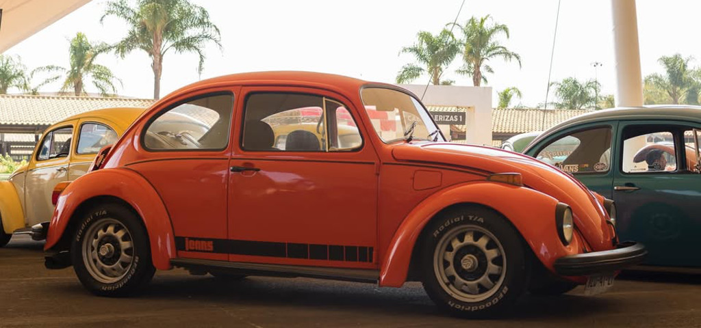 Red Mexican Jeans Beetle