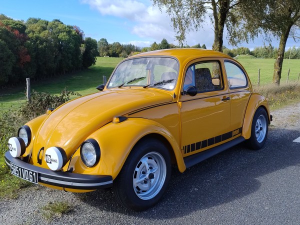 Photo Jeans Beetle