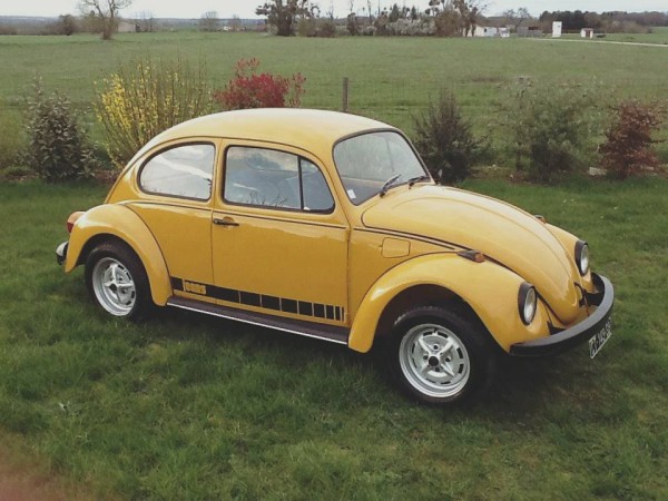 Photo Jeans Beetle