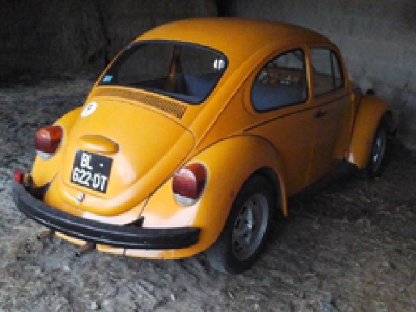 Photo Jeans Beetle