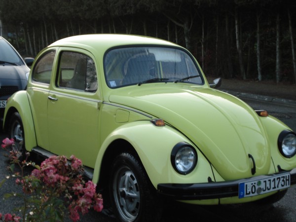 Photo Jeans Beetle